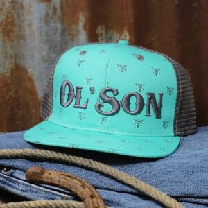 NWOT Ol' Son Teal and Gray Trucker Hat
